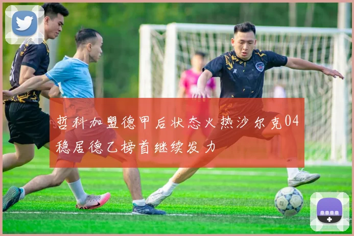哲科加盟德甲后状态火热沙尔克04稳居德乙榜首继续发力