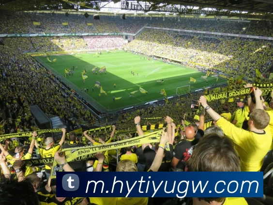 AI Risk Control